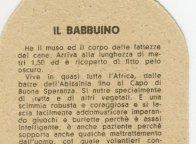 BABBUINO_EH_R