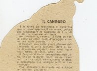 CANGURO_EH_R